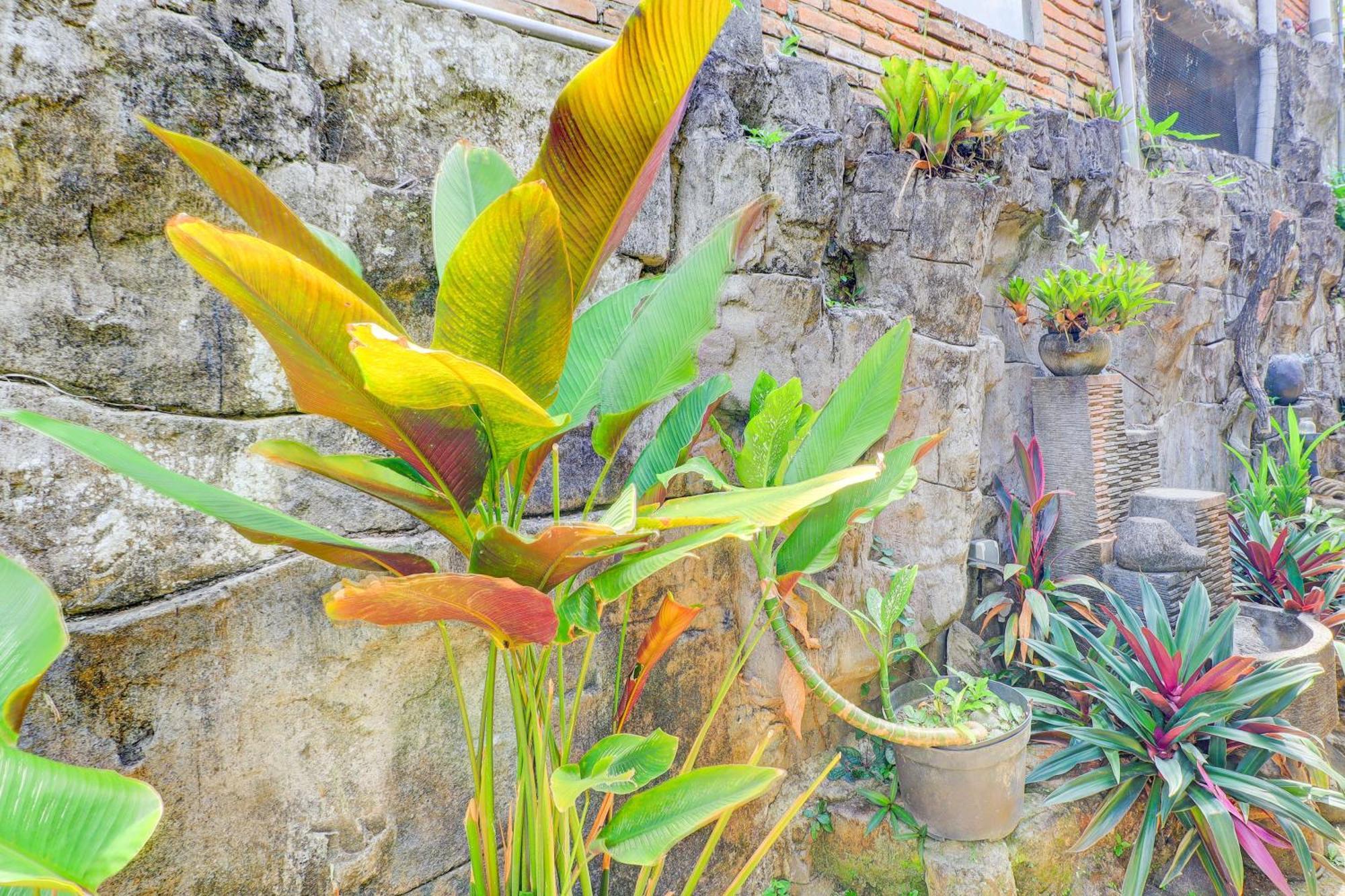 Hotel O Ubud Asri Homestay Near Monkey Forest Екстер'єр фото